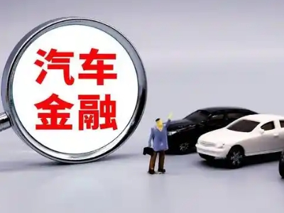 阳明押车贷款不是本人可以么?